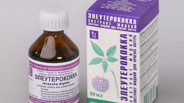 Элеутерококк для потенции мужчин: влияние, инструкция, отзывы