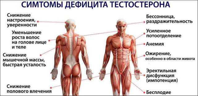 Низкий уровень тестостерона у мужчин: причины, признаки, лечение