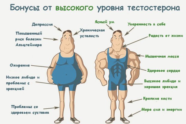 7 бустеров тестостерона, которые реально «работают» с описанием и ценой для мужчин