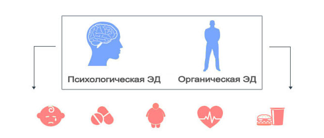 Нарушение эрекции у мужчин: причины и лечение, профилактика