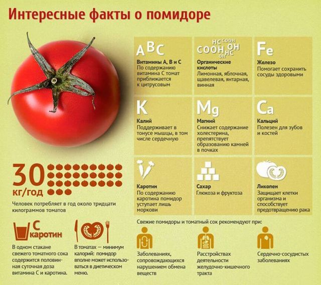 Польза и вред помидоров для организма мужчины и его потенции