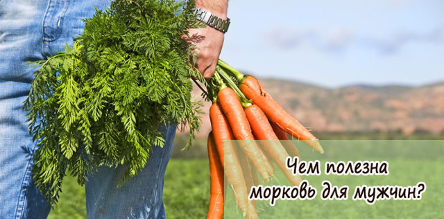 Морковь для потенции мужчин: рецепты, влияние, польза и вред