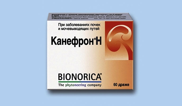 Канефрон при простатите у мужчин: лечение, инструкция, отзывы