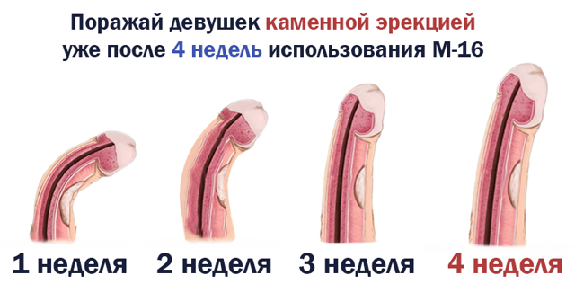 Спрей М-16 для потенции мужчин: отзывы, цена, где купить