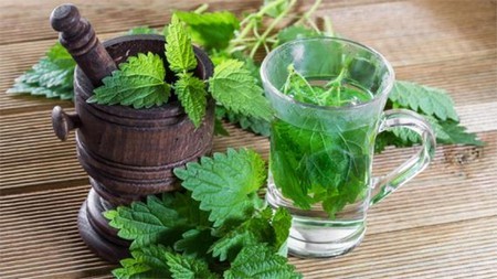 Крапива (семена) для потенции: рецепты, как влияет, отзывы
