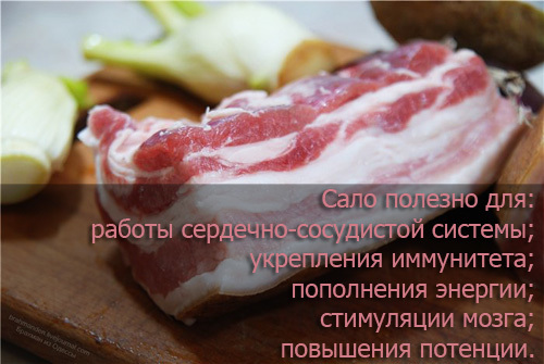 Сало для потенции и организма мужчины: польза и вред, как употреблять, отзывы