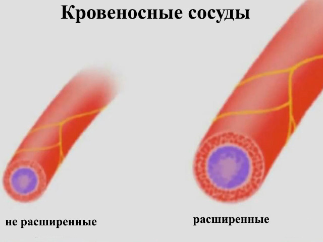 Коктейль для повышения потенции у мужчин: рецепты и отзывы
