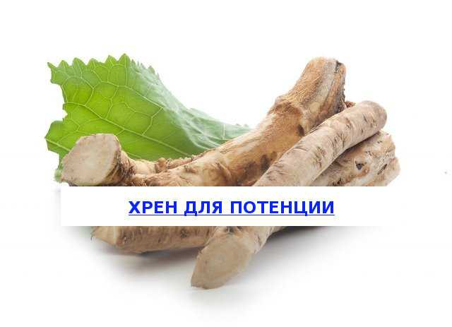 Хрен для мужчин: польза и вред для потенции, влияние и рецепты, отзывы