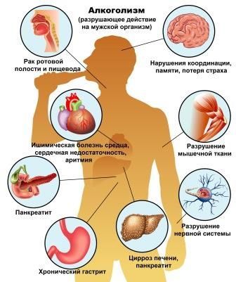 Алкоголь и потенция: как влияет алкоголь на организм мужчины?