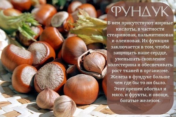 Орехи для потенции мужчин: какие самые лучшие от импотенции?