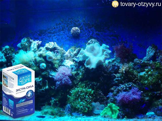 Экстра Сила для мужчин (Доктор Море): где купить, цена и применение, отзывы