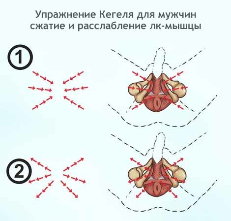 Массаж для повышения потенции у мужчин: виды и эффективность