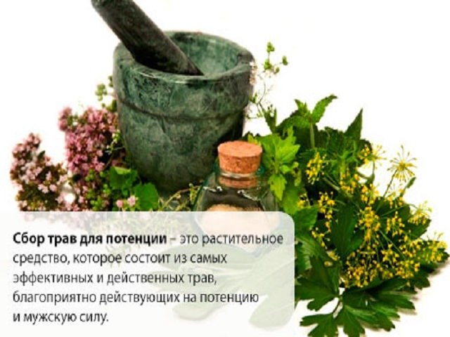 Народные средства от импотенции. ТОП-10 для мужчин