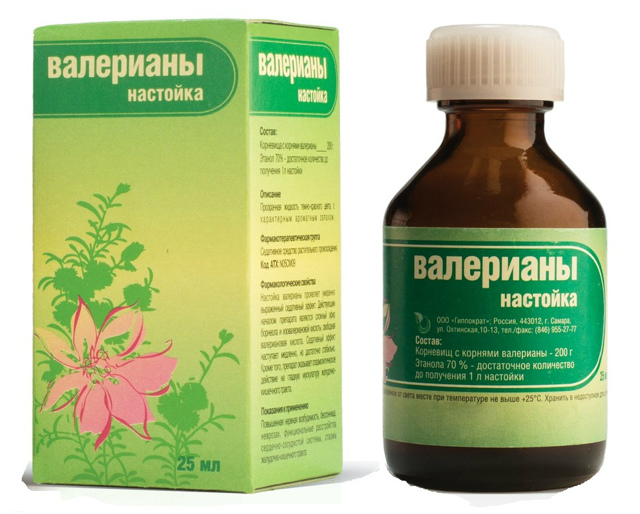 Валерьянка и потенция: влияние, вред и польза для мужчин