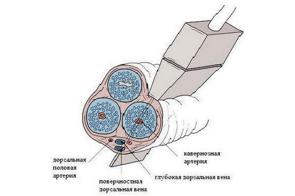 Импотенция в молодом возрасте: причины, признаки, лечение