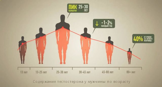 Отсутствие эрекции у мужчины: причины, лечение, профилактика