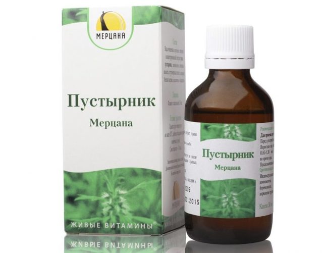 Пустырник для мужчин: польза и вред, влияние на потенцию, отзывы