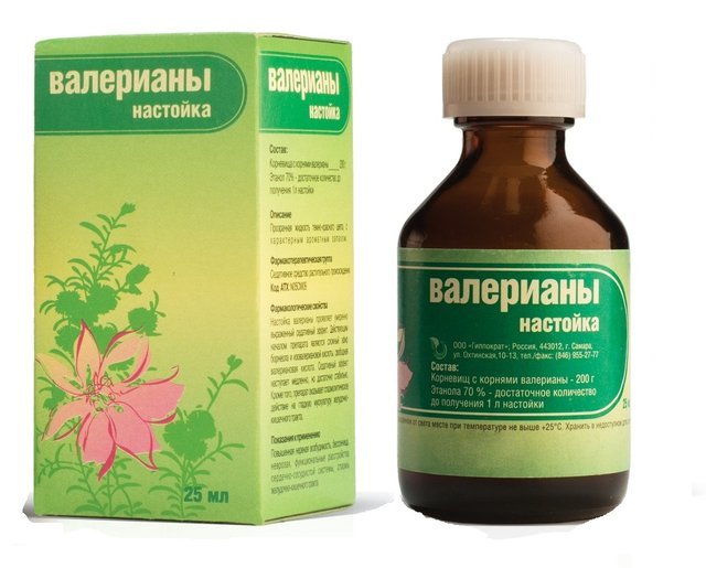 Валерьянка и потенция: влияние, вред и польза для мужчин
