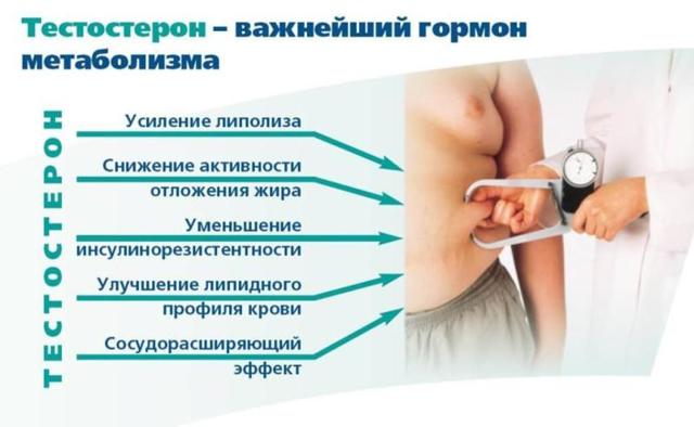 Корица для потенции: рецепты, польза и вред для мужчин