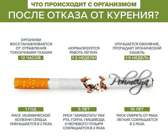 Восстановление потенции после отказа от курения у мужчин: как происходит?