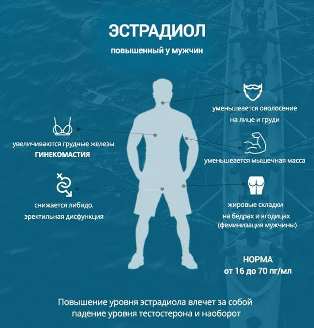 Эстрадиол у мужчин: норма, повышенный и пониженный уровень, причины и лечение
