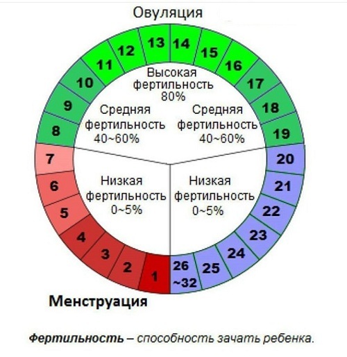 Прерванный половой акт (ППА): вред и последствия, мнение врачей