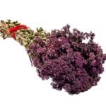 Чабрец для мужчин: влияние на потенцию, польза и рецепты, вред