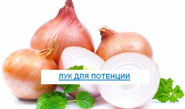 Лук для потенции мужчин: польза и рецепты