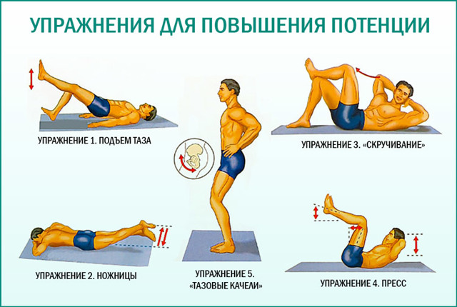 Пресс и потенция: польза качания для мужской силы