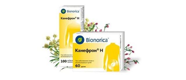 Канефрон при простатите у мужчин: лечение, инструкция, отзывы