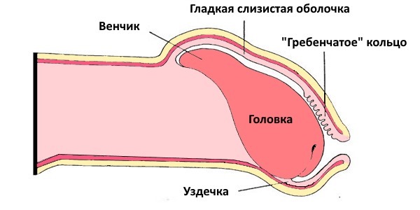 Болит член после секса: почему и что делать мужчине?