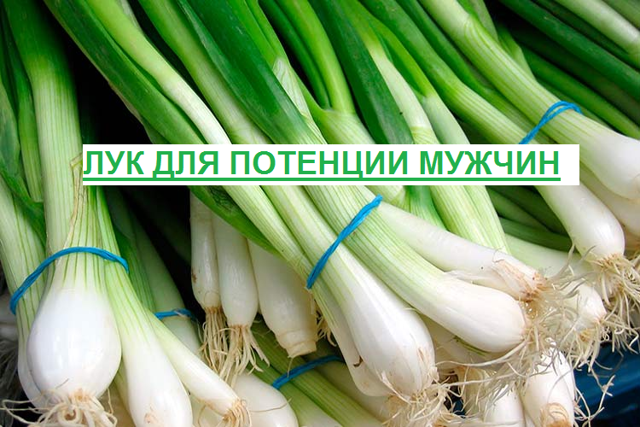 Лук для потенции мужчин: польза и рецепты