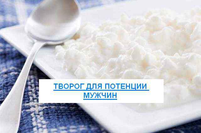 Творог и потенция у мужчин: польза и вред, рецепты, отзывы