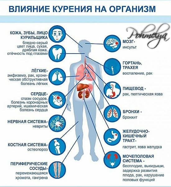 Восстановление потенции после отказа от курения у мужчин: как происходит?
