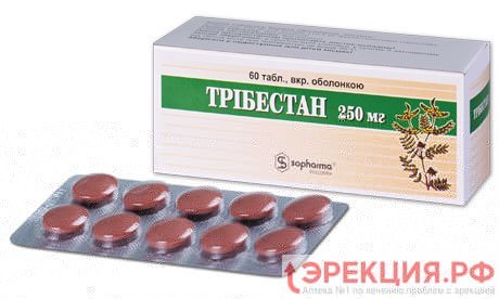 Трибестан: инструкция по применению, цена и отзывы мужчин, аналоги