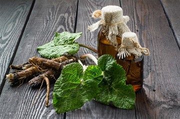 Корень лопуха от простатита: рецепты, лечение, отзывы мужчин