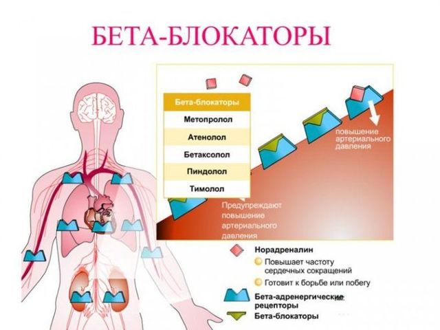 Как давление влияет на потенцию, какие препараты и средства можно использовать?