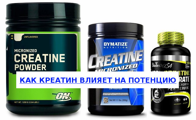 Влияние креатина на потенцию у мужчин: влияет ли и как?