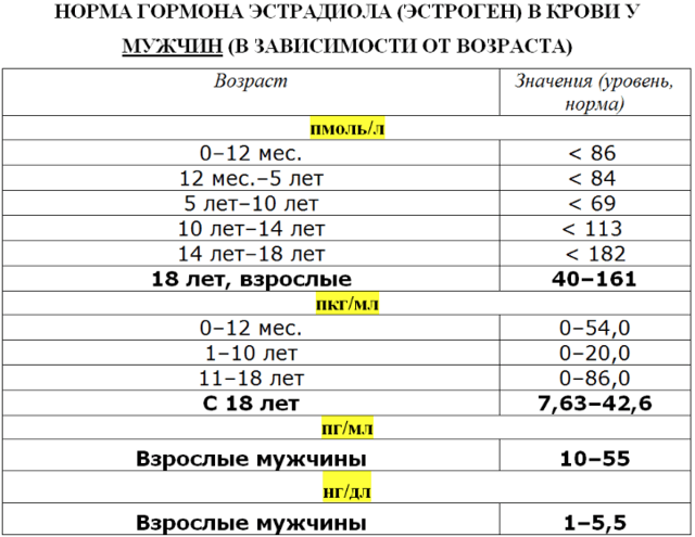 Эстрадиол у мужчин: норма, повышенный и пониженный уровень, причины и лечение