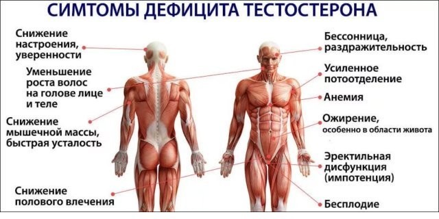 Капли для потенции мужчин быстрого действия и улучшения эрекции