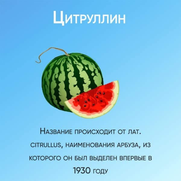 Цитруллин для потенции: инструкция по применению, цена, отзывы