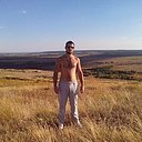 Фитолизин при простатите у мужчин: инструкция по применению, отзывы