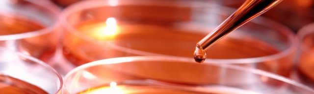 enterococcus faecalis у мужчин: норма, причины, симптомы и лечение