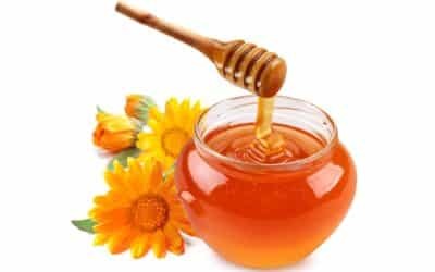 Продукты питания повышающие потенцию у мужчин мгновенно