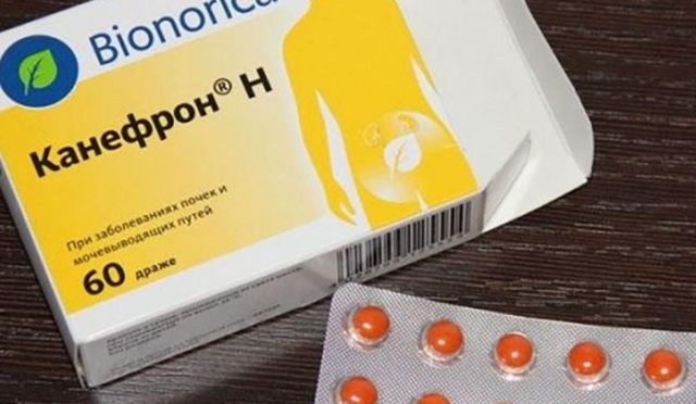 Канефрон при простатите у мужчин: лечение, инструкция, отзывы