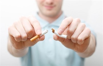 Полынь при простатите у мужчин: лечение, рецепты, отзывы