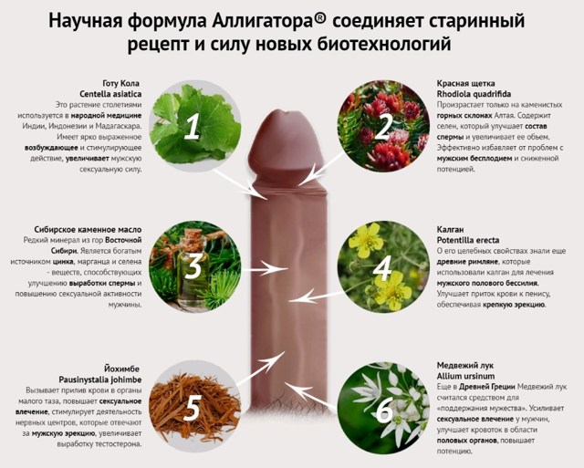 Аллигатор для потенции у мужчин: цена, где купить препарат, отзывы