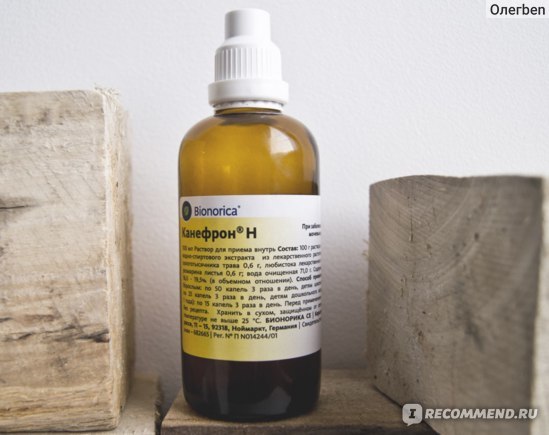 Канефрон при простатите у мужчин: лечение, инструкция, отзывы
